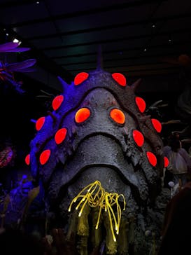 金曜ロードショーとジブリ展　三重展に投稿された画像（2025/3/29）