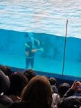 下田海中水族館に投稿された画像（2025/3/29）