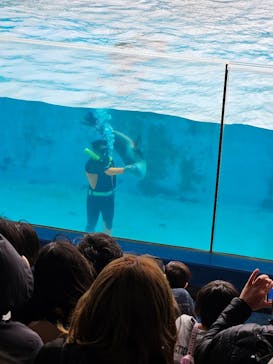 下田海中水族館に投稿された画像（2025/3/29）