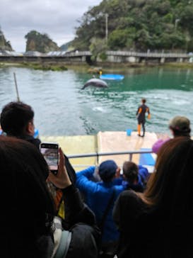 下田海中水族館に投稿された画像（2025/3/29）