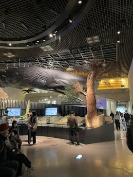 国立科学博物館に投稿された画像（2025/3/29）