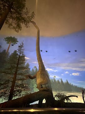 福井県立恐竜博物館に投稿された画像（2025/3/29）