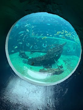 箱根園水族館に投稿された画像（2025/3/29）