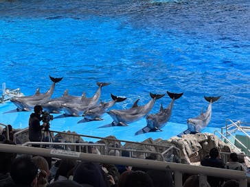 名古屋港水族館に投稿された画像（2025/3/29）