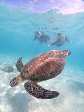 宮古島マリンショップSmileyに投稿された画像（2025/3/29）