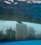 サンシャイン水族館に投稿された画像（2025/3/29）