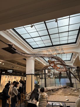 国立科学博物館に投稿された画像（2025/3/29）