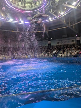 マクセル アクアパーク品川に投稿された画像（2025/3/29）