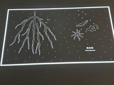 AOAO SAPPOROに投稿された画像（2025/3/29）