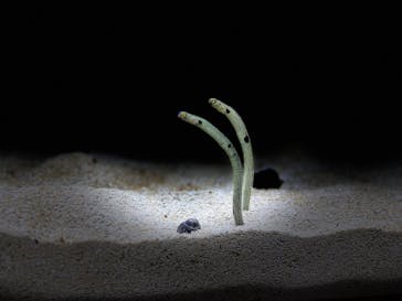 AOAO SAPPOROに投稿された画像（2025/3/29）