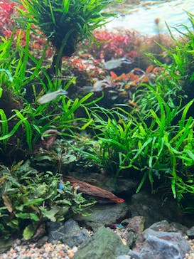 AOAO SAPPOROに投稿された画像（2025/3/29）