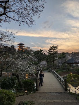 三溪園に投稿された画像（2025/3/28）