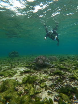 nico 宮古島に投稿された画像（2025/3/29）