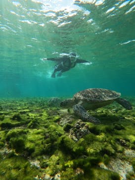 nico 宮古島に投稿された画像（2025/3/29）