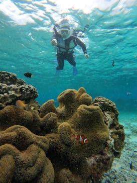 nico 宮古島に投稿された画像（2025/3/29）