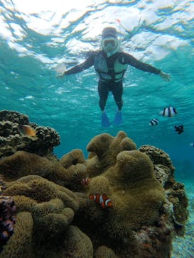 nico 宮古島に投稿された画像（2025/3/29）