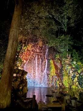 箱根湯本温泉 天成園に投稿された画像（2025/3/29）