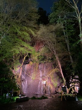 箱根湯本温泉 天成園に投稿された画像（2025/3/29）