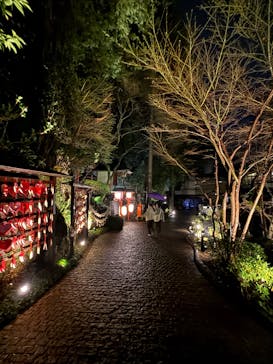 箱根湯本温泉 天成園に投稿された画像（2025/3/29）
