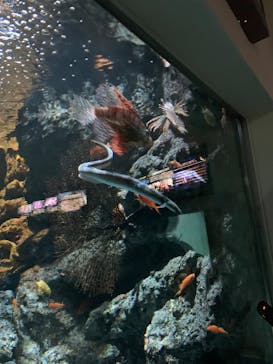 名古屋港水族館に投稿された画像（2025/3/29）