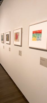 ヒルマ・アフ・クリント展（東京国立近代美術館）に投稿された画像（2025/3/29）