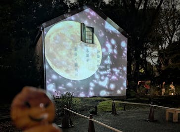 六義園に投稿された画像（2025/3/29）
