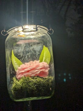 六義園に投稿された画像（2025/3/29）