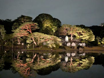 六義園に投稿された画像（2025/3/29）