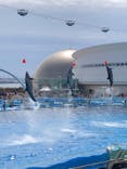 名古屋港水族館に投稿された画像（2025/3/29）