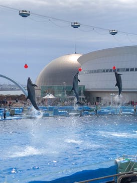 名古屋港水族館に投稿された画像（2025/3/29）
