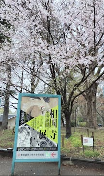 相国寺承天閣美術館開館40周年記念『相国寺展ー金閣・銀閣 鳳凰がみつめた美の歴史』（東京藝術大学大学美術館）に投稿された画像（2025/3/29）
