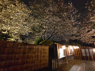 三溪園に投稿された画像（2025/3/29）