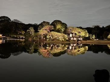 六義園に投稿された画像（2025/3/29）
