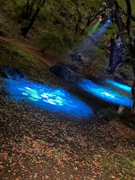 六義園に投稿された画像（2025/3/29）