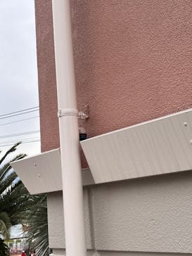 浜名湖パルパルに投稿された画像（2025/3/29）