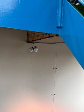 浜名湖パルパルに投稿された画像（2025/3/29）