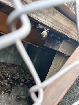 浜名湖パルパルに投稿された画像（2025/3/29）