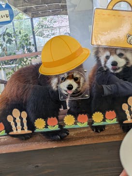 姫路セントラルパークに投稿された画像（2025/3/29）