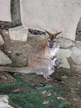 姫路セントラルパークに投稿された画像（2025/3/29）