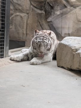 姫路セントラルパークに投稿された画像（2025/3/29）