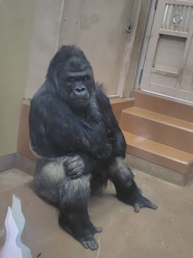 名古屋市東山動植物園に投稿された画像（2025/3/29）