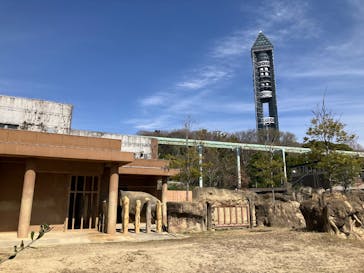 名古屋市東山動植物園に投稿された画像（2025/3/29）