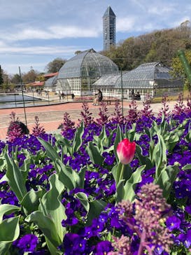 名古屋市東山動植物園に投稿された画像（2025/3/29）