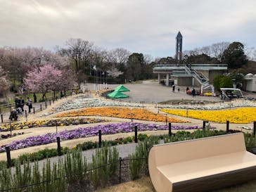 名古屋市東山動植物園に投稿された画像（2025/3/29）