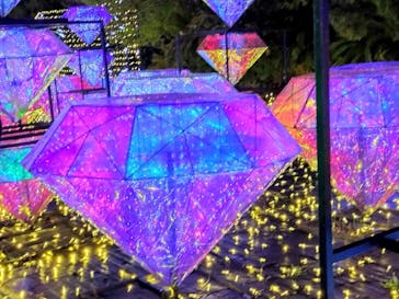 伊豆高原グランイルミに投稿された画像（2025/3/29）