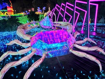 伊豆高原グランイルミに投稿された画像（2025/3/29）