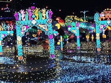 伊豆高原グランイルミに投稿された画像（2025/3/29）