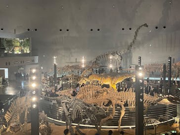 福井県立恐竜博物館に投稿された画像（2025/3/29）