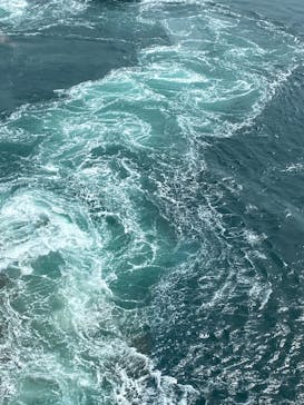 徳島県立 渦の道に投稿された画像（2025/3/29）