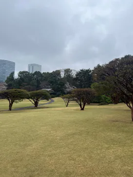 新宿御苑に投稿された画像（2025/3/29）